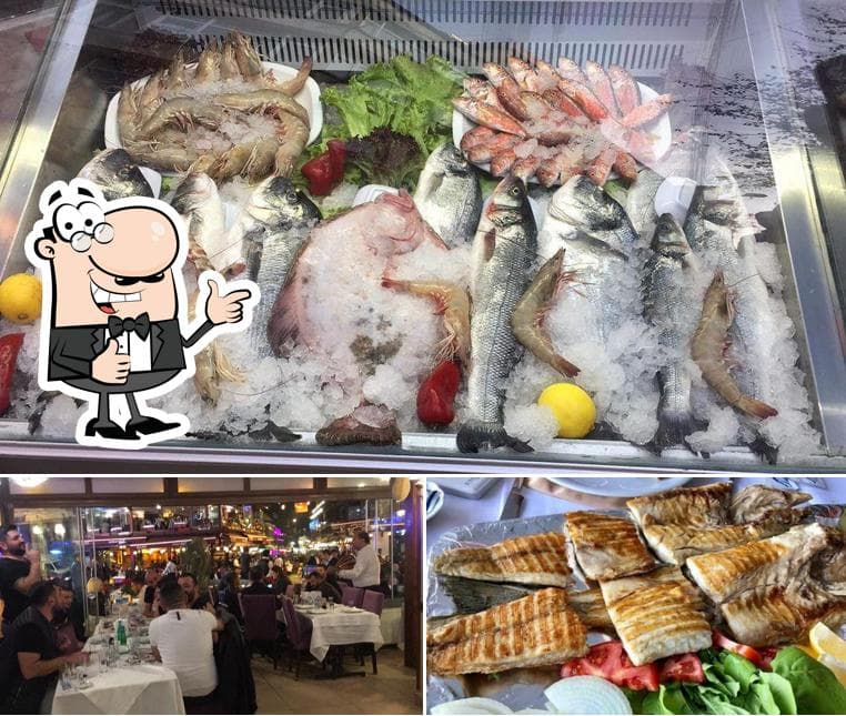 Kuytu balık fotoğraf 5