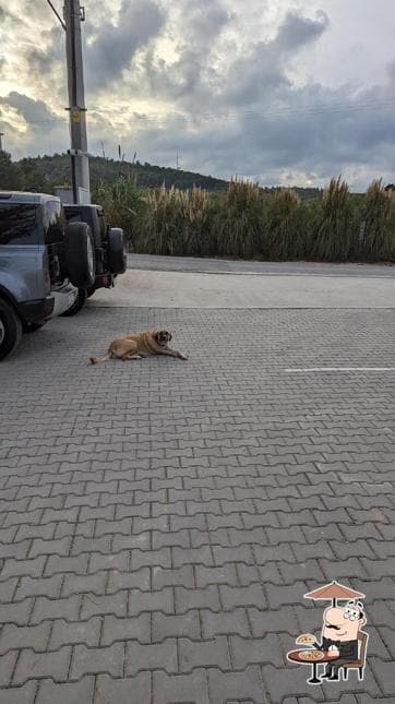 TERUAR URLA fotoğraf 19