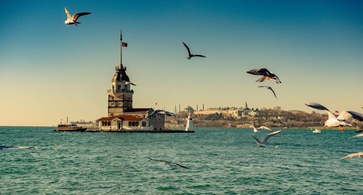 Restoran paylaşımı