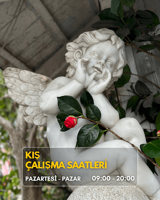 Restoran paylaşımı