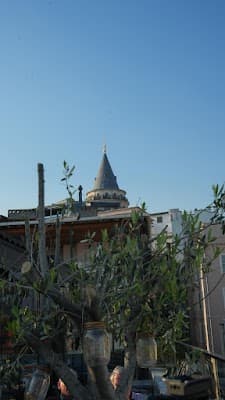 Restoran paylaşımı