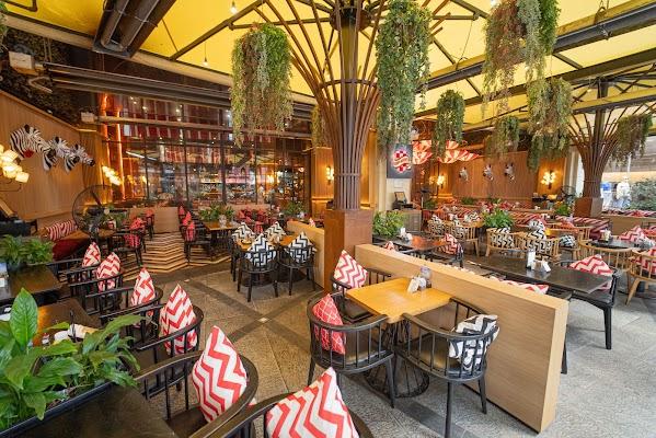 Restoran paylaşımı