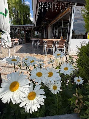 Restoran paylaşımı