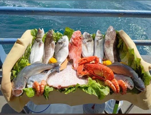 Restoran paylaşımı